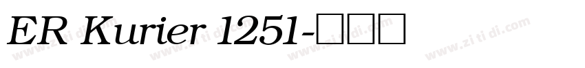 ER Kurier 1251字体转换